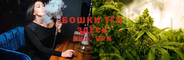 стафф Алексеевка