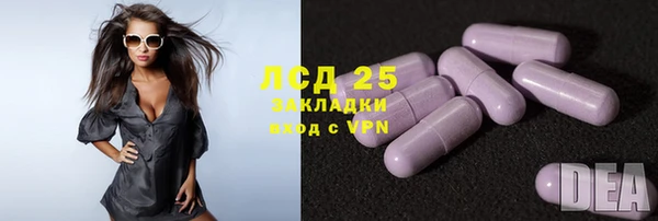 ПСИЛОЦИБИНОВЫЕ ГРИБЫ Алзамай